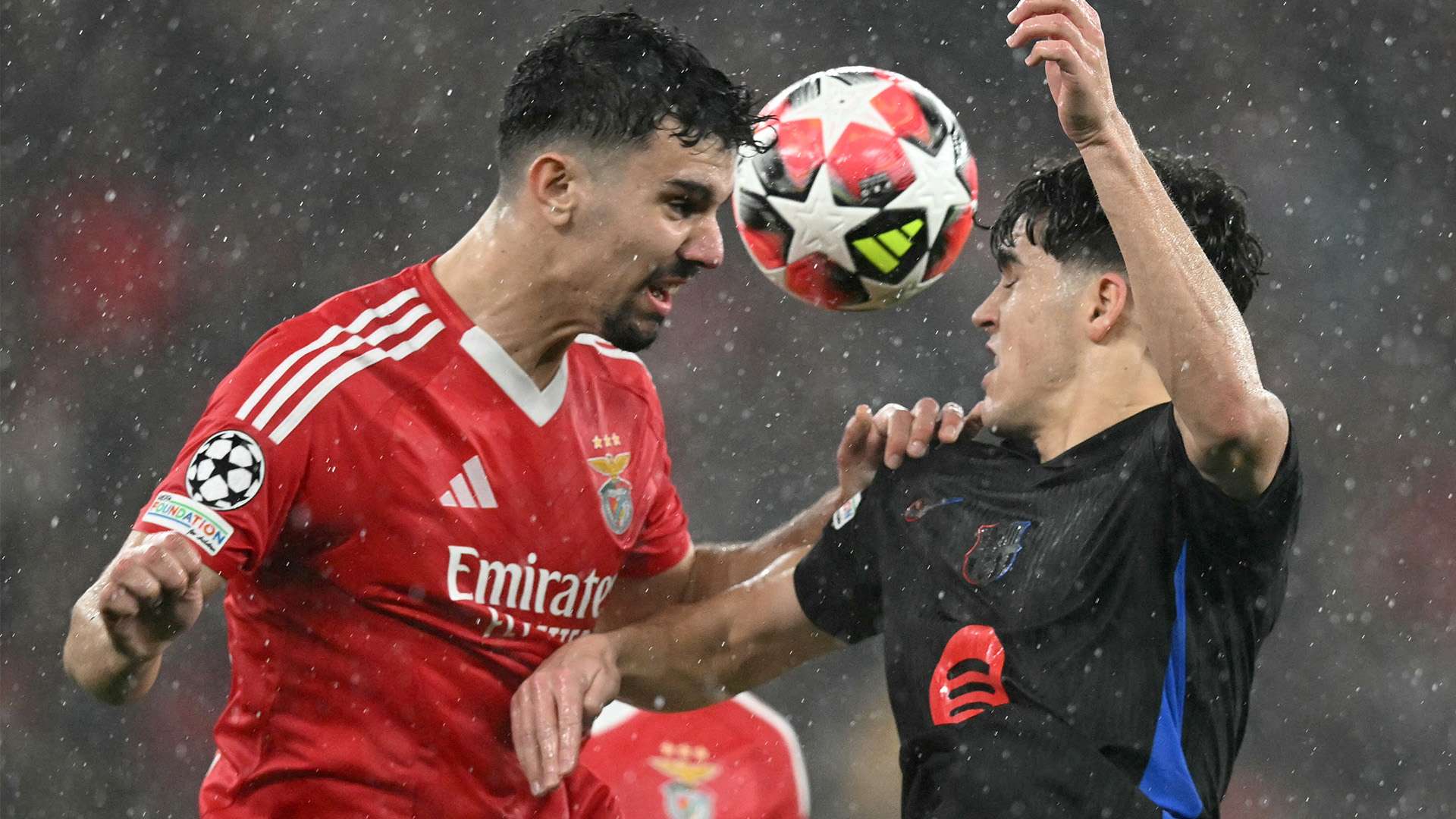 疑扎卡离开 疑扎卡离开